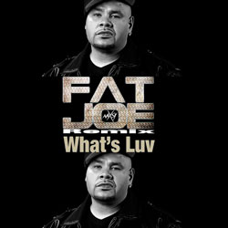 Fat Joe – What’s Luv (Naxsy Remix)