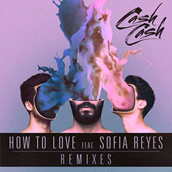 Cash Cash feat. Sofia Reyes - How To Love (Arty Remix)