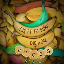 TJR feat. DJ Funk - Dik Work (Vices Remix)