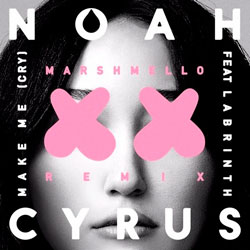 Noah Cyrus feat. Labrinth - Make Me (Cry) (Marshmello Remix)