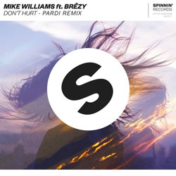 Mike Williams feat. Brezy - Dont Hurt (Pardi Remix)