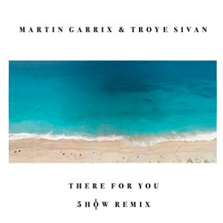 Martin Garrix feat. Troye Sivan – There For You (William Yang Cover) (5how Remix)