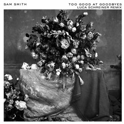 Sam Smith - Too Good At Goodbyes (Luca Schreiner Remix)