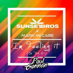 Sunset Bros and Mark McCabe - I'm Feeling It (Paul Gannon Remix)