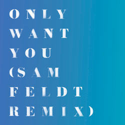 Rita Ora - Only Want You (Sam Feldt Remix)