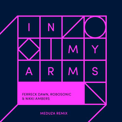 Ferreck Dawn x Robosonic x Nikki Ambers - In My Arms (Meduza Remix)