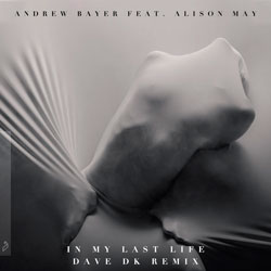 Andrew Bayer feat. Alison May - In My Last Life (Dave DK Remix)
