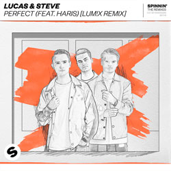 Lucas x Steve feat. Haris - Perfect (LUMIX Remix)