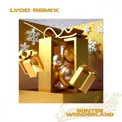 Sam Feldt - Winter Wonderland (LYOD Remix)