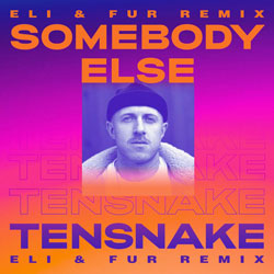 Tensnake feat. Boy Matthews - Somebody Else (Eli & Fur Remix)