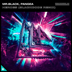 MR.BLACK x Pangea - Heroes (Blackcode Remix)