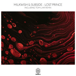 Milkwish x Subside - Lost Prince (Tom Liar Remix)