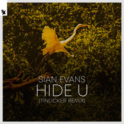 Sian Evans - Hide U (Tinlicker Remix)
